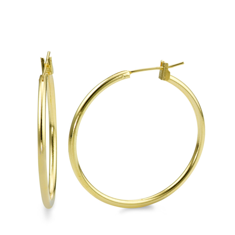 Hoop earrings Bronze Gold plated