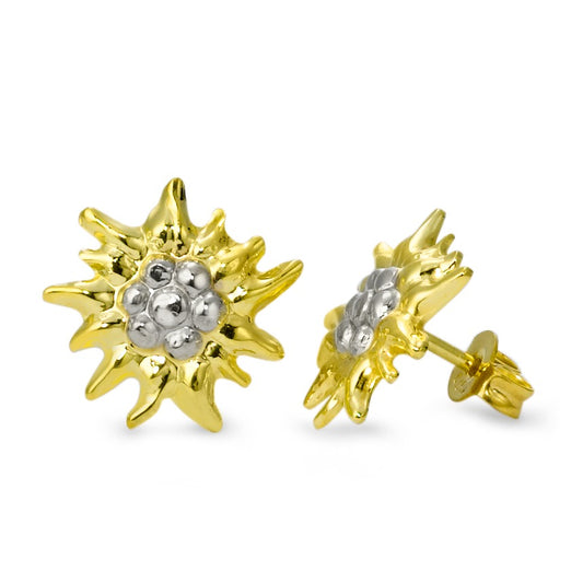 Stud earrings 9k Yellow Gold Edelweiss Ø12 mm