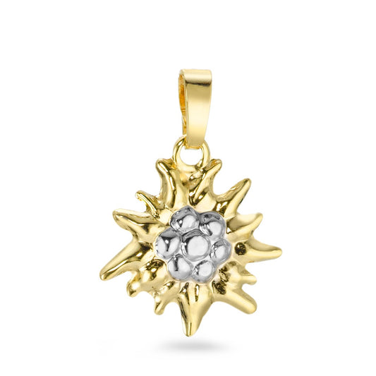 Pendant 9k Yellow Gold Edelweiss Ø12 mm