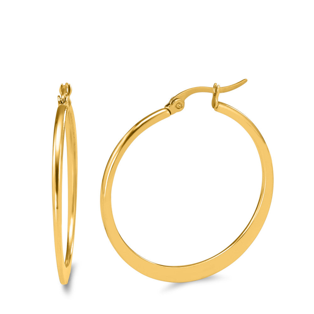 Hoop earrings Stainless steel Yellow IP coated