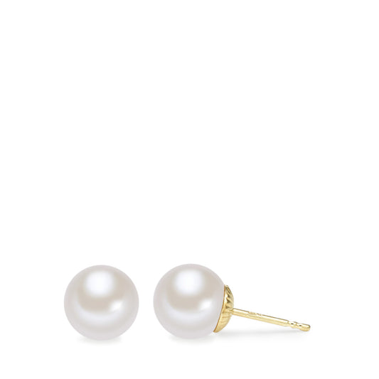 Stud earrings 14k Yellow Gold Freshwater pearl