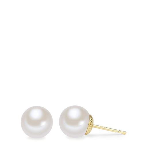 Stud earrings 14k Yellow Gold Freshwater pearl