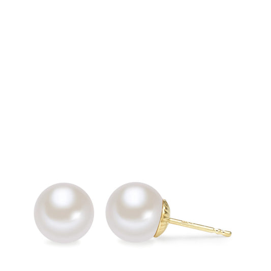 Stud earrings 14k Yellow Gold Freshwater pearl