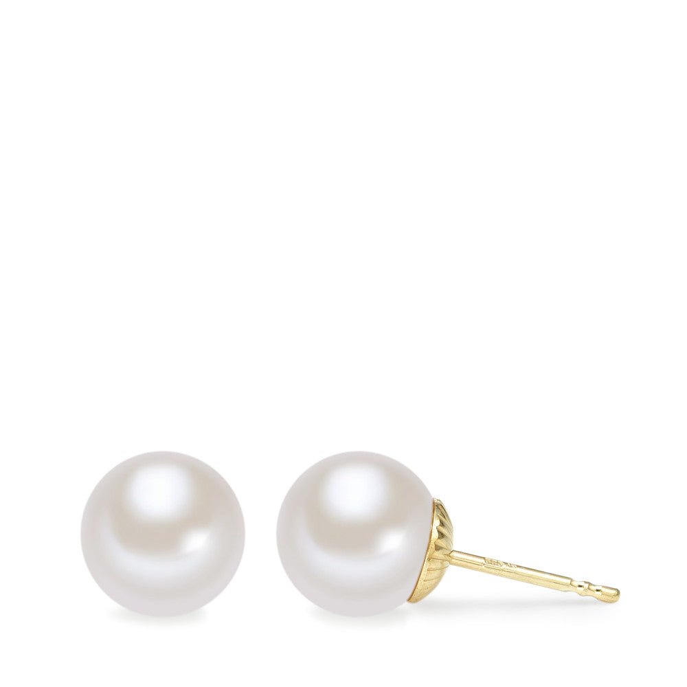 Stud earrings 14k Yellow Gold Freshwater pearl