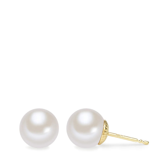 Stud earrings 14k Yellow Gold Freshwater pearl