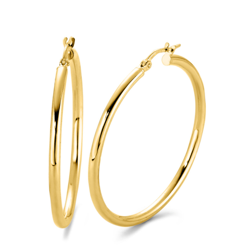 Hoop earrings Silver Yellow IP coated