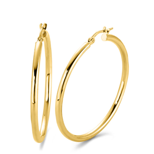 Hoop earrings Silver Yellow IP coated