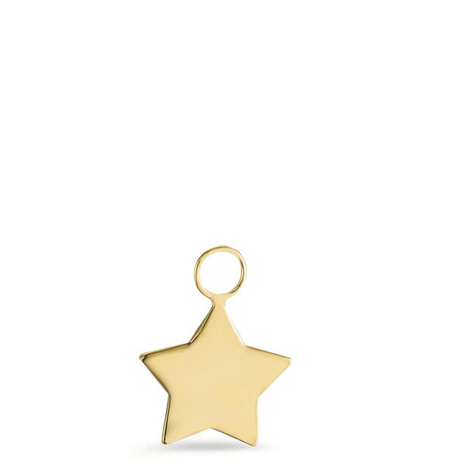 Charms 18k Yellow Gold Star Ø10 mm