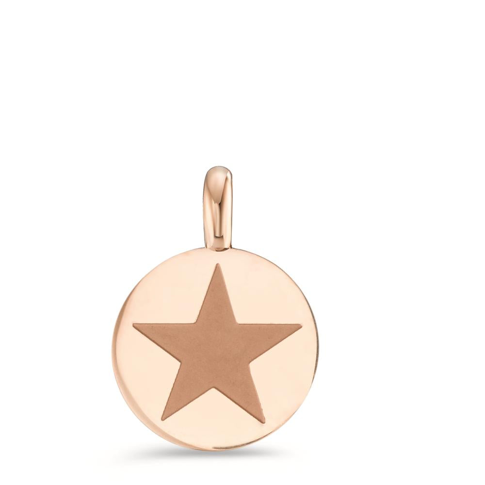 Pendant Stainless steel Rose IP coated Star Ø11 mm