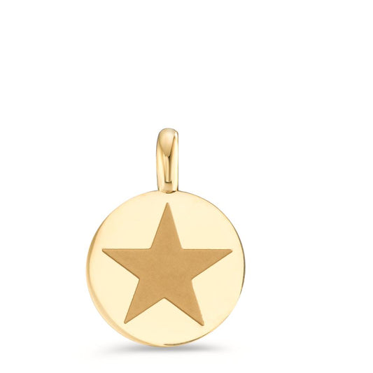 Pendant Stainless steel Yellow IP coated Star Ø11 mm