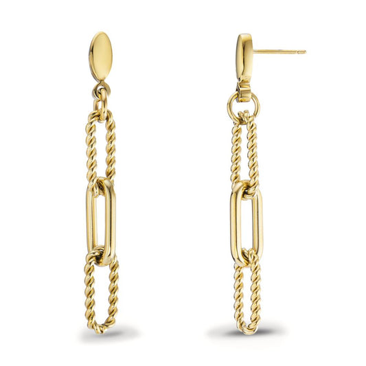 Drop Earrings Stainless steel Yellow IP coated