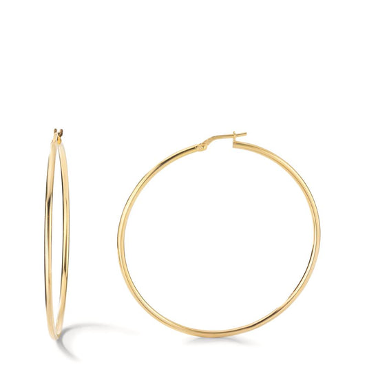 Hoop earrings Silver Yellow Gold plated