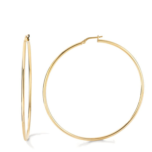 Hoop earrings Silver Yellow Gold plated