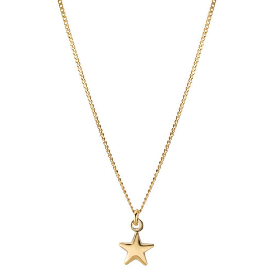 Necklace Silver Yellow Gold plated Star 42-45 cm