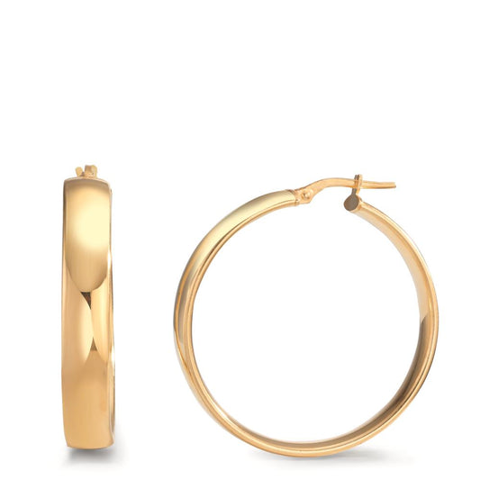 Hoop earrings Silver Yellow Gold plated