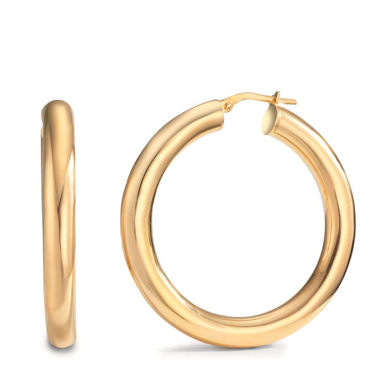 Hoop earrings Silver Yellow Gold plated