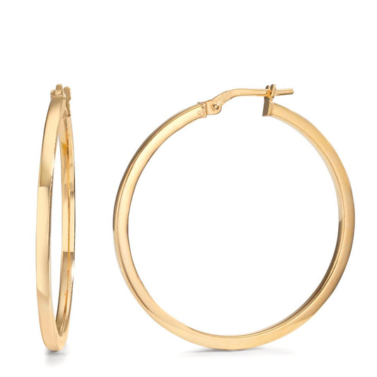 Hoop earrings Silver Yellow Gold plated