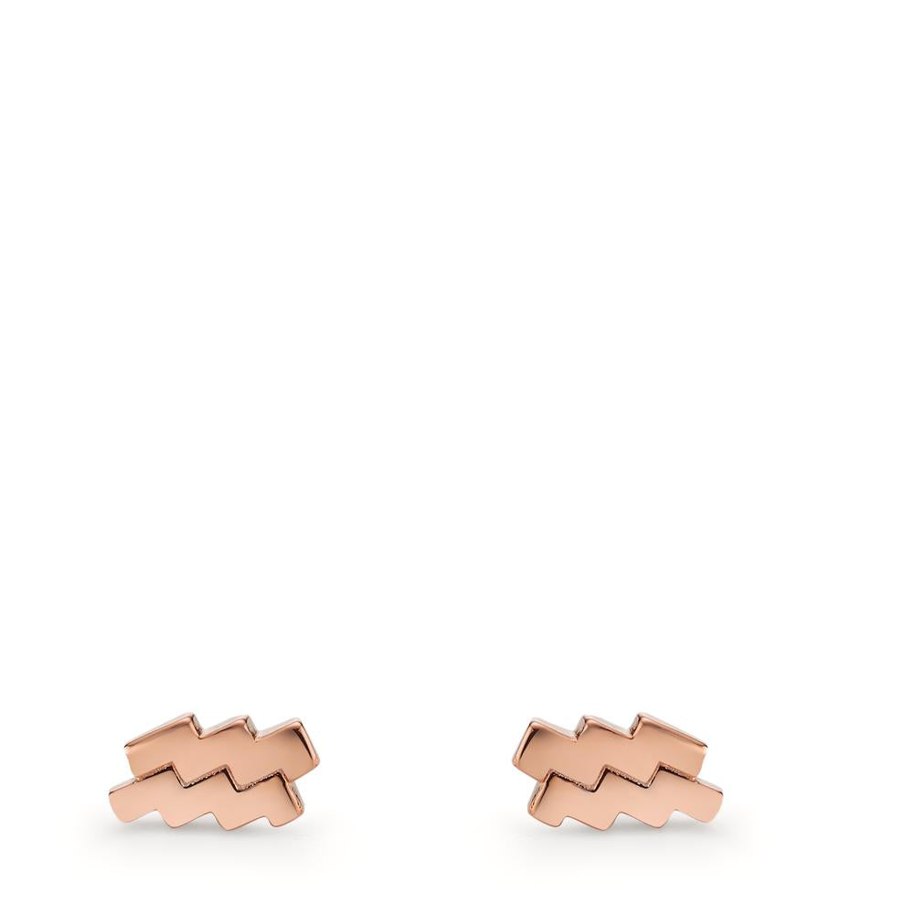 Stud earrings Silver Rose Gold plated