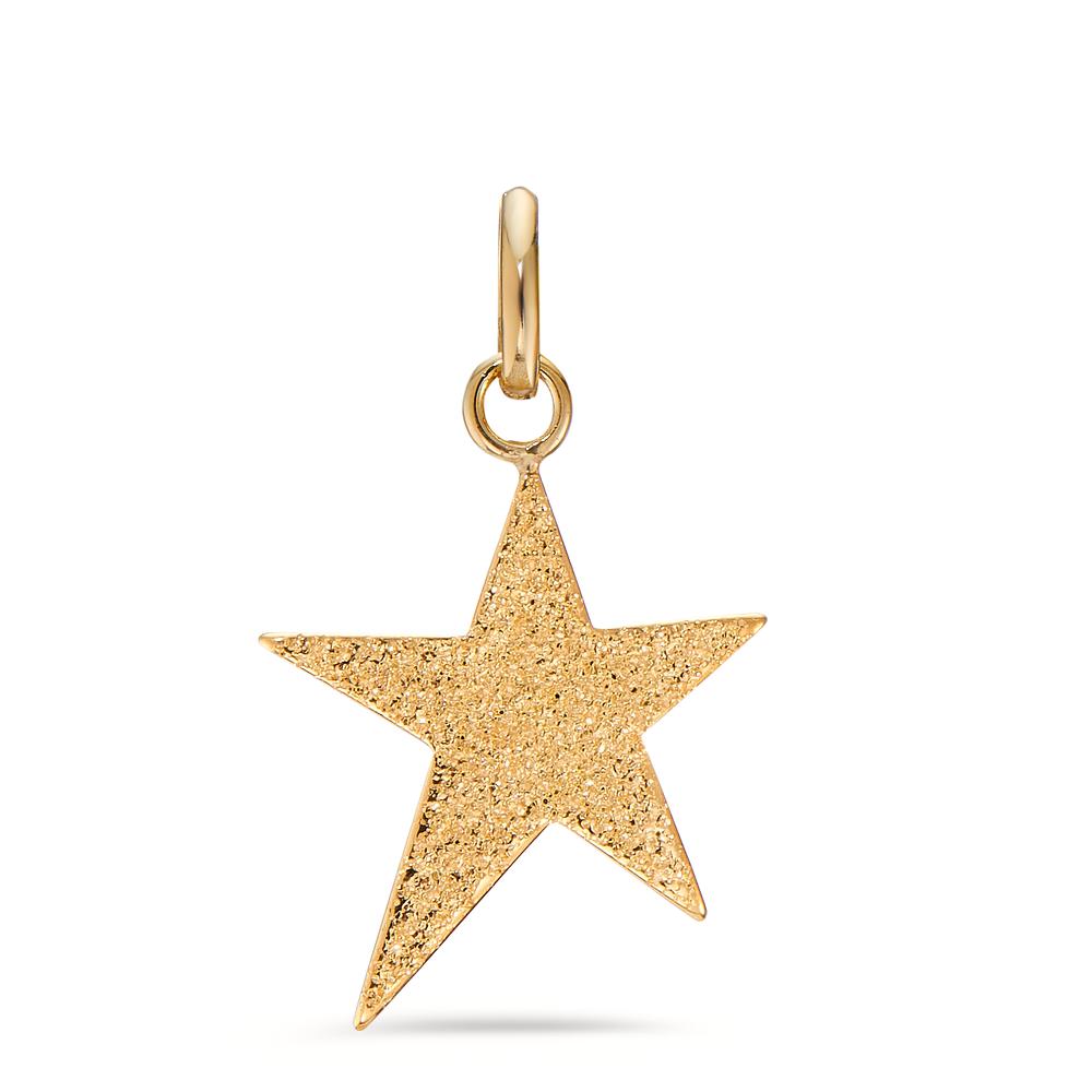 Pendant 9k Yellow Gold Star Ø14 mm