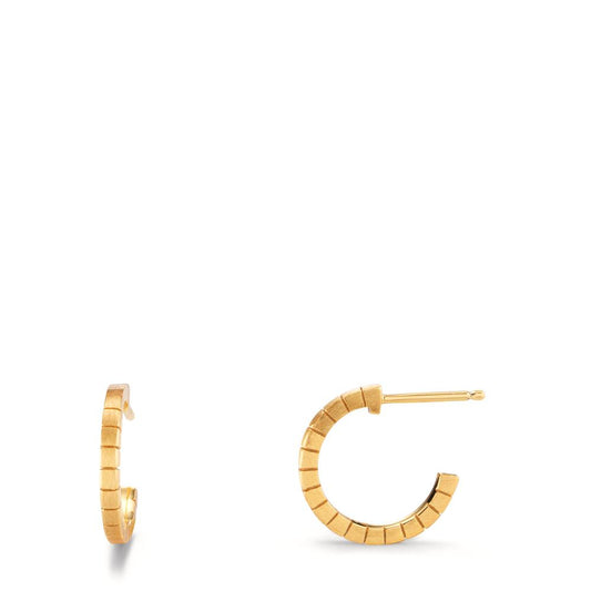 Hoop earrings Silver Yellow Gold plated