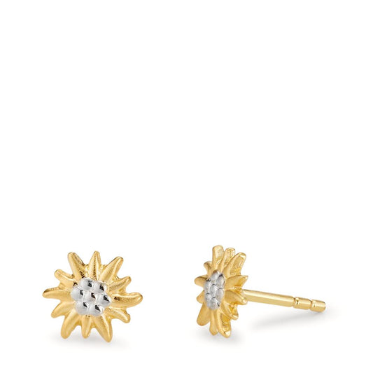 Stud earrings 18k Yellow Gold Edelweiss Ø7 mm