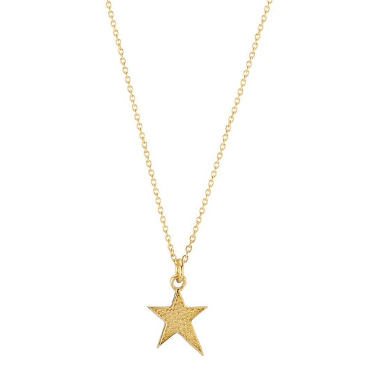 Necklace 14k Yellow Gold Star 39-42 cm